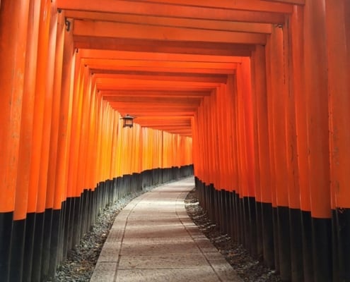 Les torii de Fushimi Inari, Kyoto