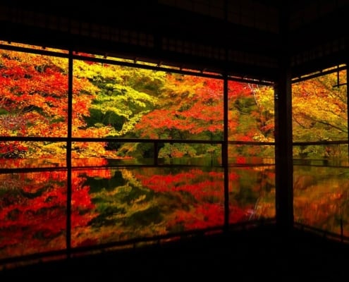 Rurikouin en automne, Kyoto