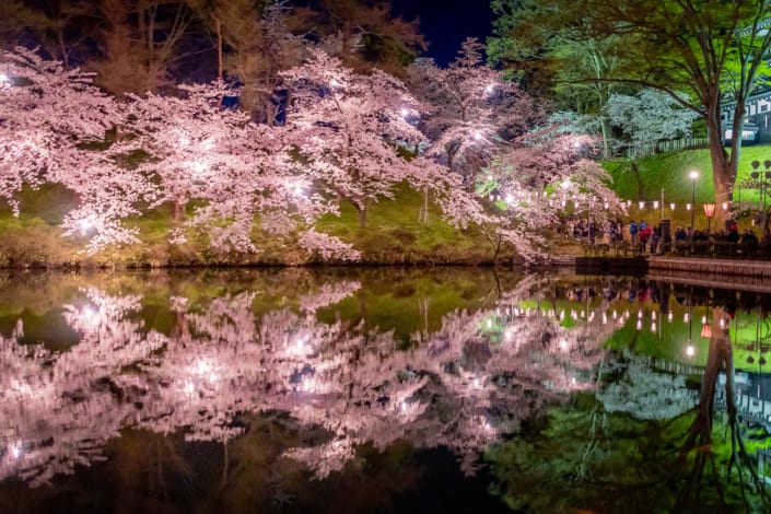 Niigata pendant la saison des cerisiers