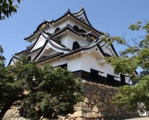 Le château de Hikone