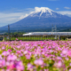 Shinkansen et Mont Fuji