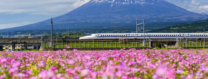 Shinkansen et Mont Fuji